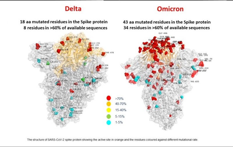 Prima imagine a variantei Omicron arată mai multe mutații decât la varianta Delta. Ce spun cercetătorii