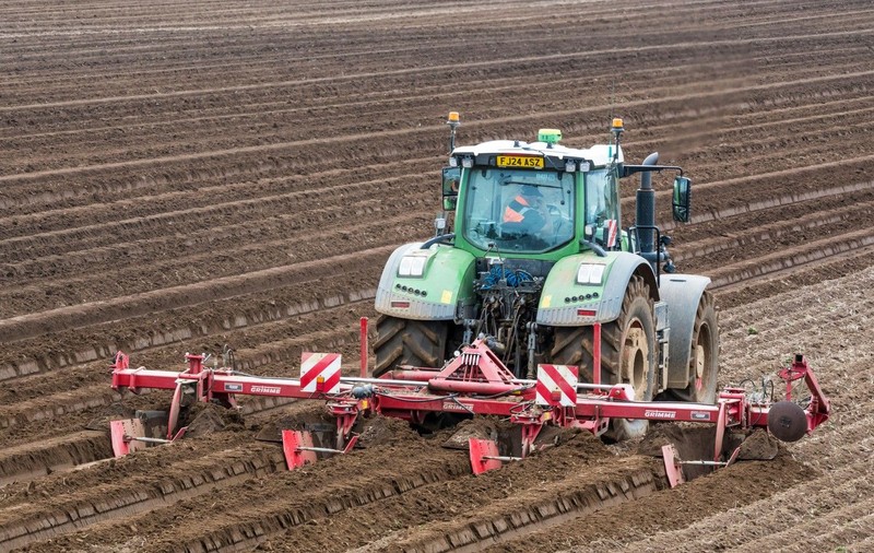 Meseria care se caută la Brăila: Direcția Agricolă organizează cursuri, trebuie să fi absolvit minimum 8 clase