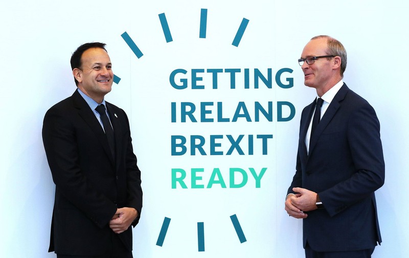 Anunțul Irlandei, după respingerea acordului privind ieșirea Marii Britanii din UE. "Rezultatul votului sporeşte riscul unui Brexit dezordonat"