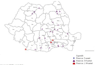 Harta cu cazurile de infectare cu tulpina Delta Foto: INSP