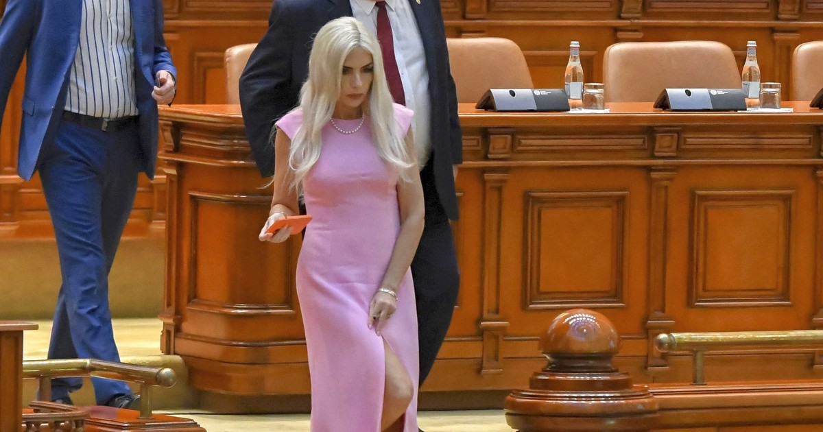 Laura Vicol a fost deputată PSD