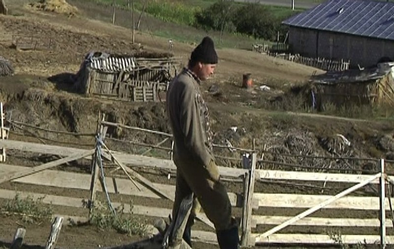 Un cioban din Galaţi a ajuns la Psihiatrie după ce a rămas fără 150 de oi