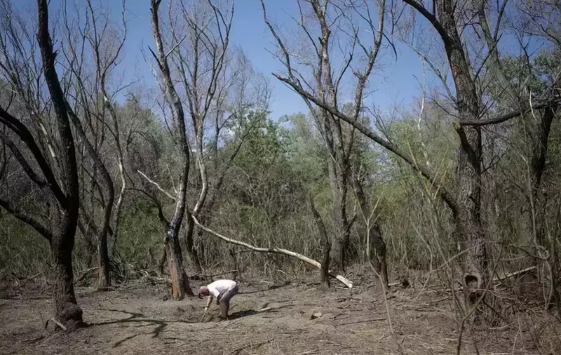 Fragmente de dronă rusească găsite în apropierea localității Plauru din Tulcea