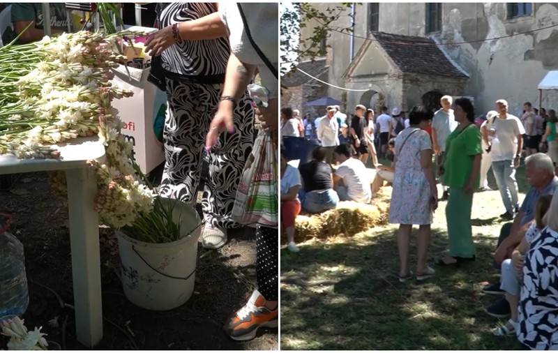 Oamenii s-au îmbulzit să se îmbete cu mirosul florilor și să guste bunătățile bio: participare record la Festivalul Tuberozelor din Hoghilag, lângă Sibiu