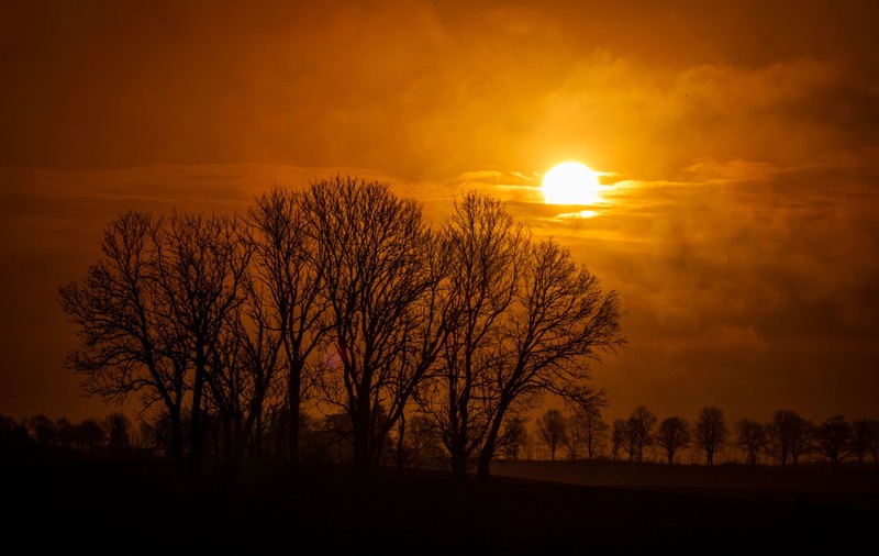 Cum va fi vremea mâine. Prognoza meteo pentru sâmbătă, 1 februarie 2025