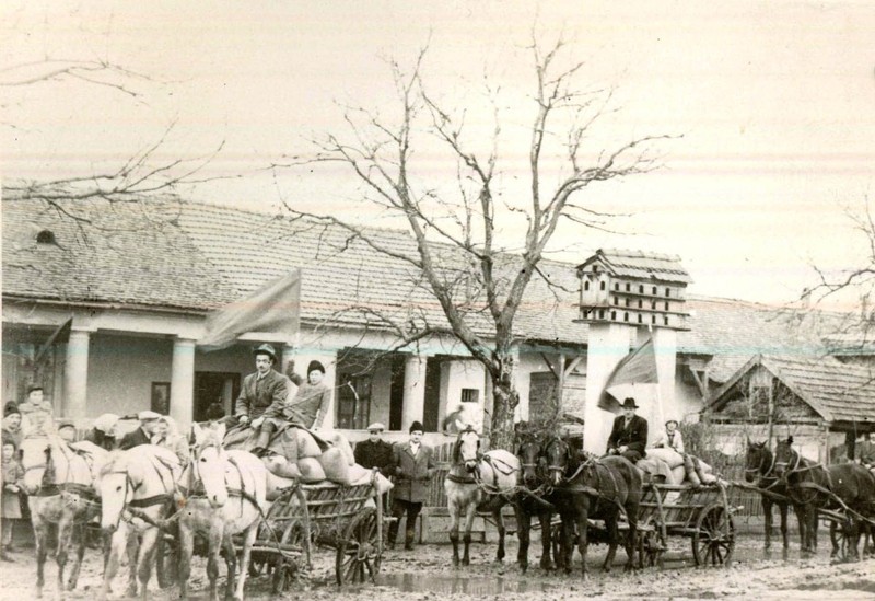 Foto