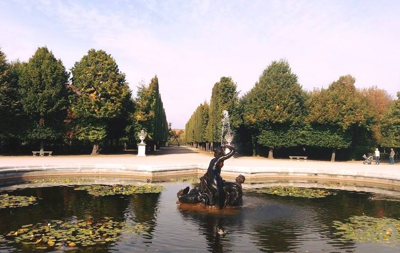 VIDEO 360° | Plimbare virtuală prin parcurile României