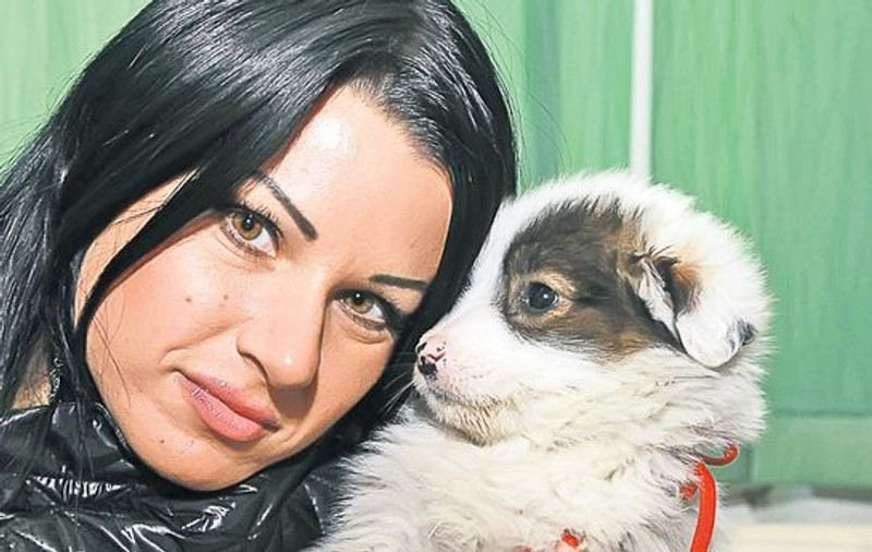 Roxana de la "Vremea" vrea să salveze câinii de la eutanasiere: Domnilor primari, nu ucideți maidanezii! | Foto & Video