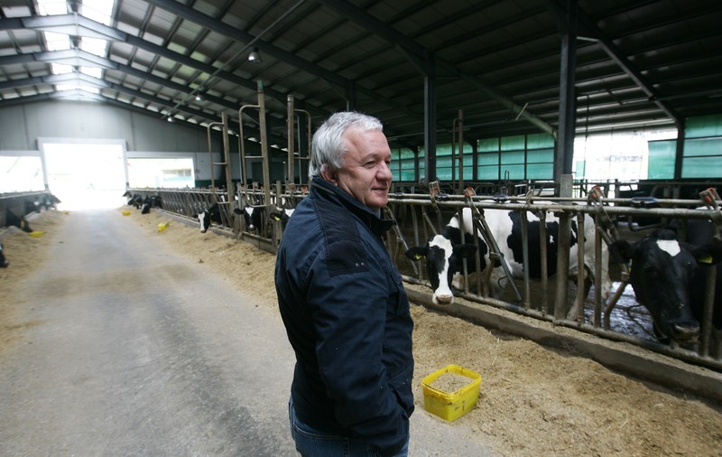 Comcereal, firma care i-a hrănit pe fotbaliștii de la Vaslui, a intrat în insolvență. Adrian Porumboiu a lăsat-o din brațe