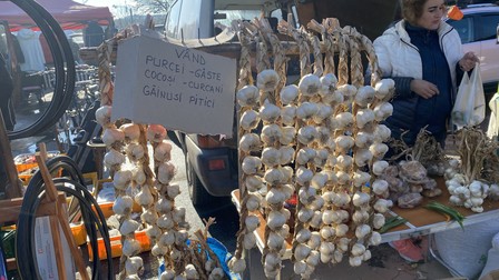 Arhiva foto