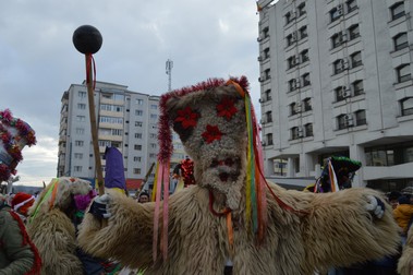 Arhiva foto