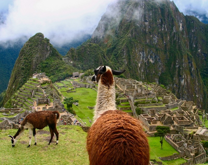 Curiozități despre Machu Picchu – ruinele incașe