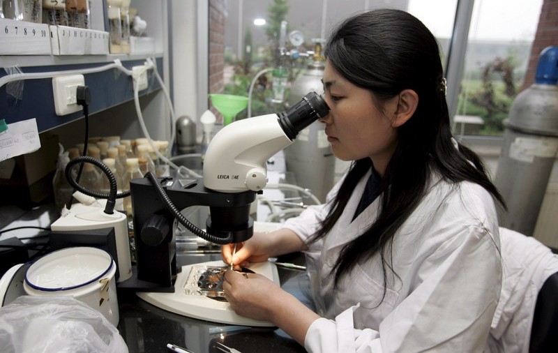 Cercetătorii au obţinut un organism unicelular sintetic, capabil să se autoreproducă. Celulele senzoriale pot fi programate să producă medicamente şi pot fi plasate în organismul uman pentru a le elibera la nevoie