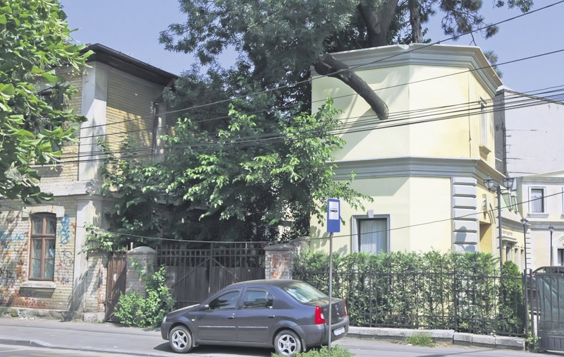Au zidit copacul în casă