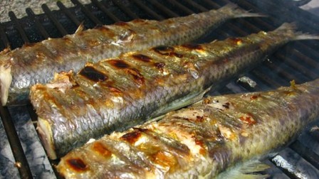 Arhiva foto