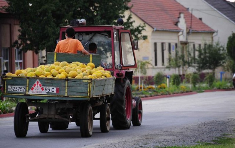 Localitatea Gottlob din Timiș ar putea fi carantinată. S-au infectat 11 persoane care au participat la o slujbă