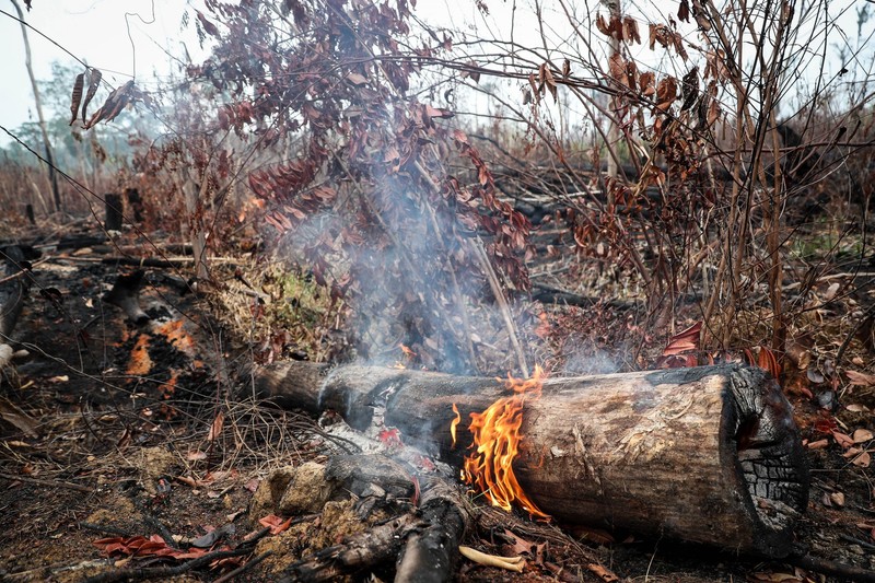 Incendiile au făcut ravagii anul trecut în Amazonia, din iulie până în septembrie
