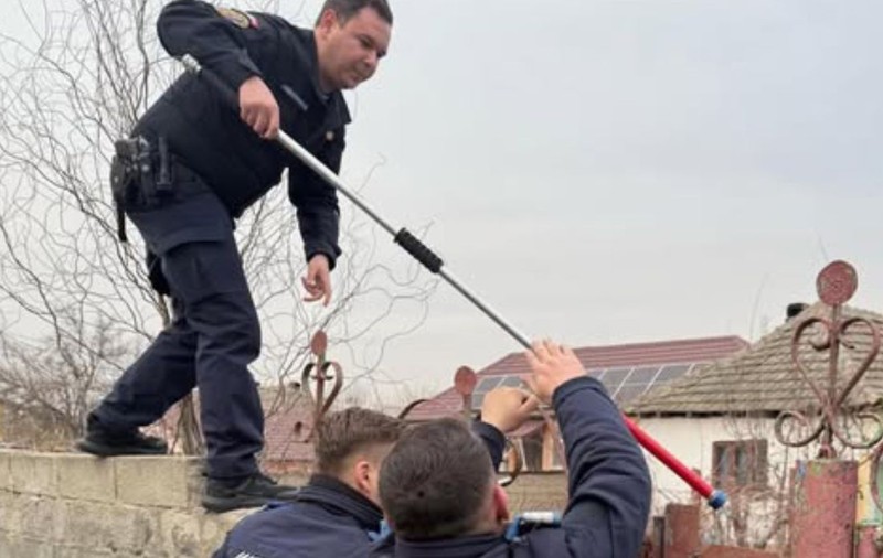 Blocat în casă de propriul câine, un bărbat din Mehedinți a sunat la 112 să fie salvat