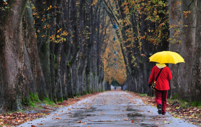Prognoza meteo, 15 noiembrie 2019 | Scad temperaturile, dar se opresc ploile
