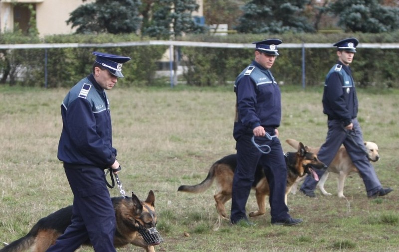 Câini poliţişti din ţară ar putea fi trimişi în sprijinul japonezilor