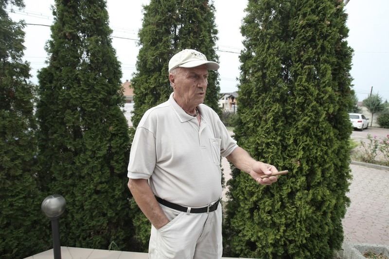 Iosif Vigu / FOTO: Dumitru Angelescu (Libertatea)