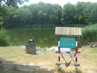 Arhiva foto