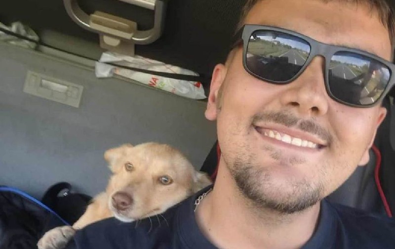 Un șofer de camion a văzut un câine vagabond pe drum și s-a oprit să-l mângâie: „Mi s-a frânt inima”