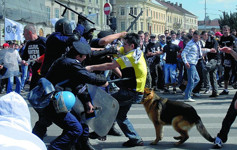 «Nu-i eliberaţi! Sunt câini turbaţi»