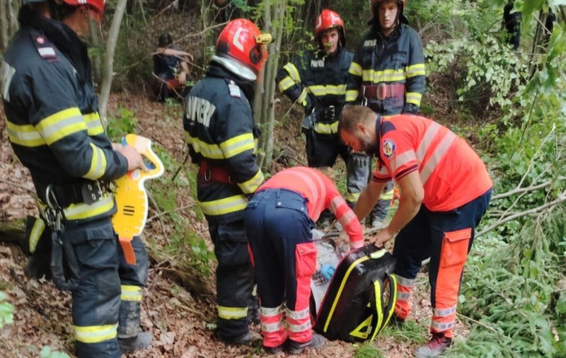 Un bărbat a murit strivit de un copac într-o pădure din Poiana Teiului, Neamț