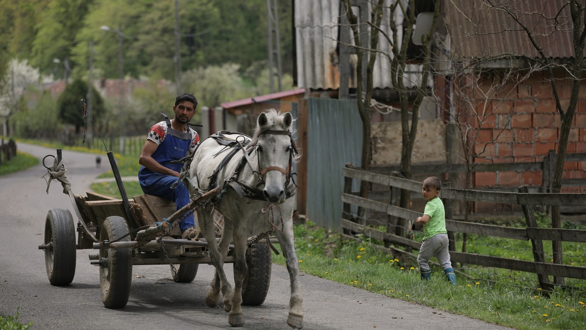 Un localnic trece cu căruța pe un drum din Colonia 1 Mai