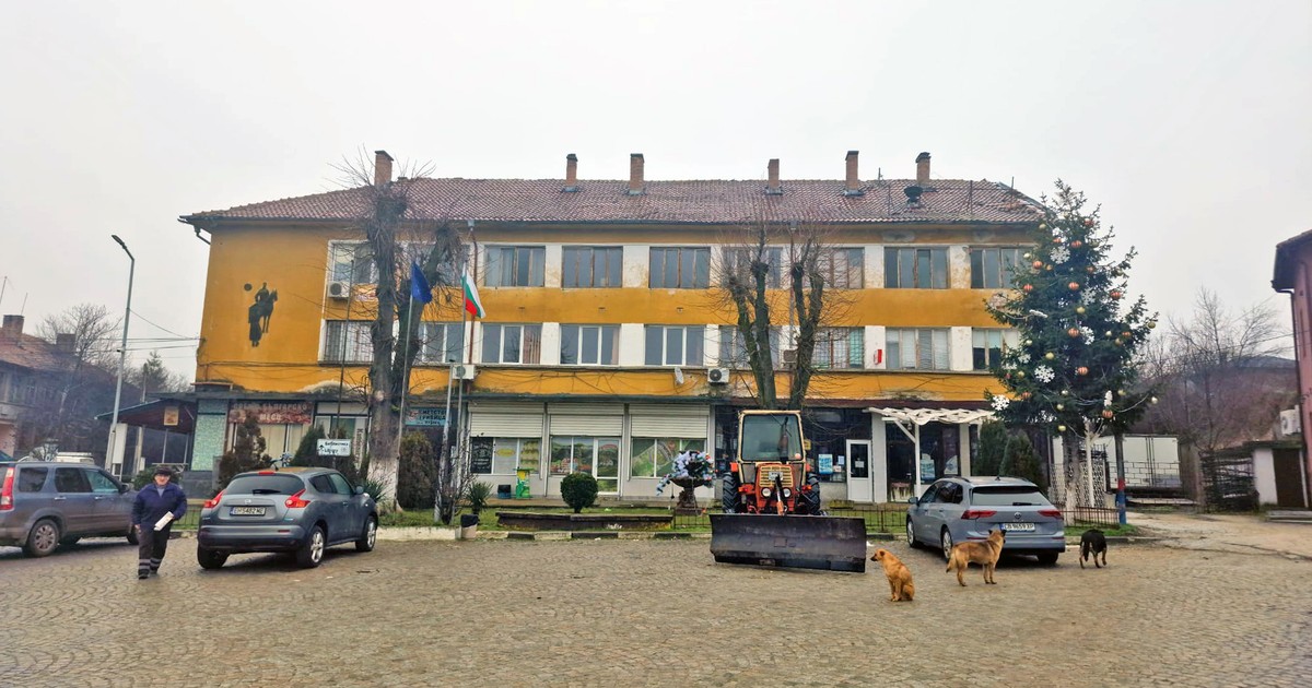 O imagine din orașul Plevna din Bulgaria. O cladire portocalie, in fata masini parcate, cativa oameni si cativa caini