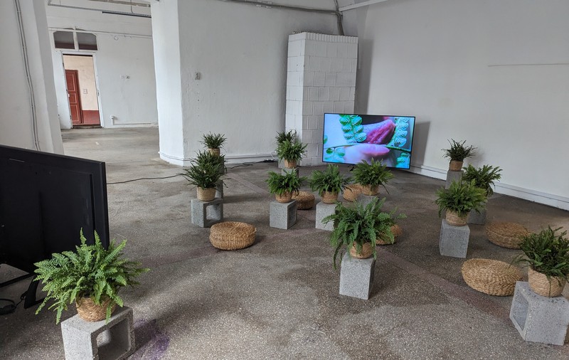 Expoziția care a stârnit un scandal în Timișoara. O asociație creștină i-a dat în judecată pe organizatori: „acte sexuale explicite cu plantele și aluzii la relații între persoane de același sex”