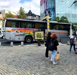 Un autocar a rămas înțepenit în limitatorul de înalțime, după inaugurare
