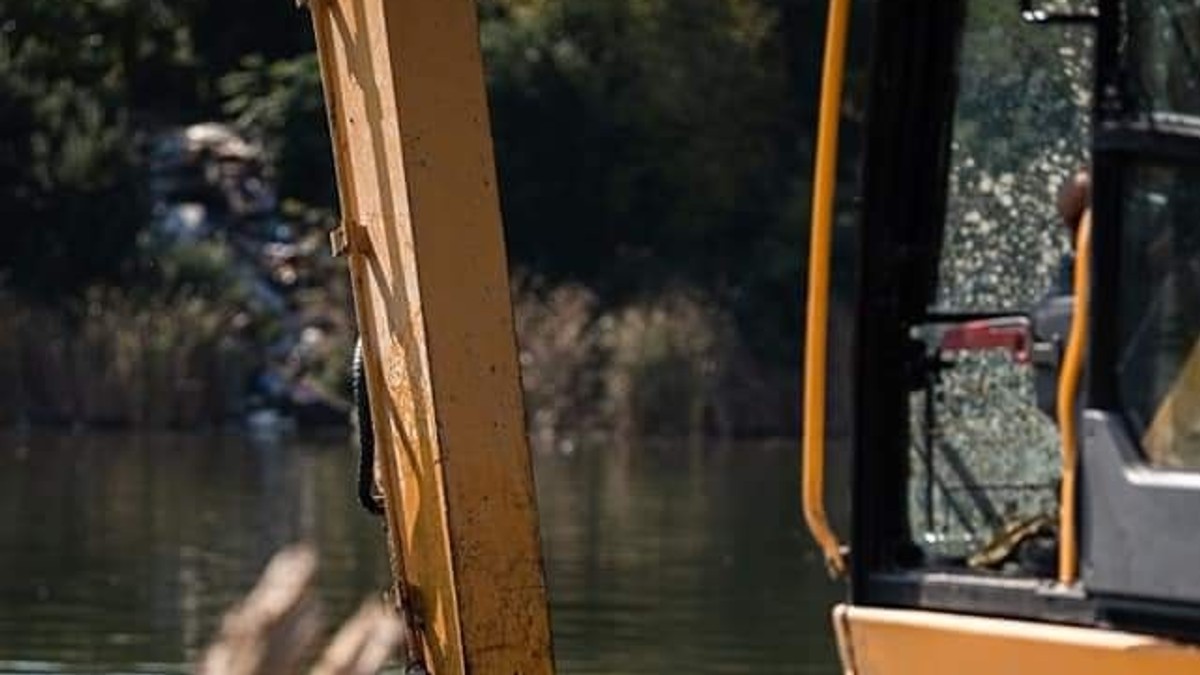 Arhiva foto