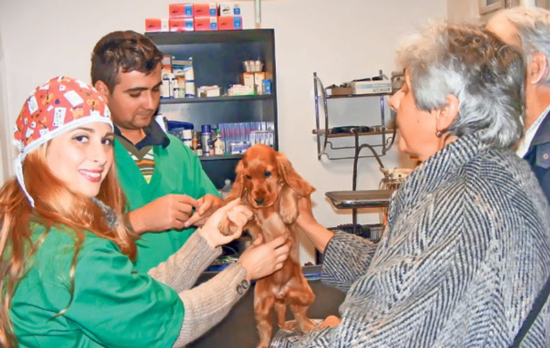 Foto | Judoka Alina Dumitru a fost veterinar pentru o zi