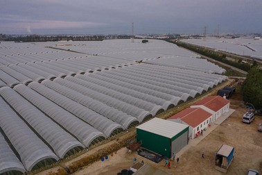 Redacția Teleleu (autorulota albă din dreapta) la cazări, într-un câmp de căpșuni din Palos de la Frontera