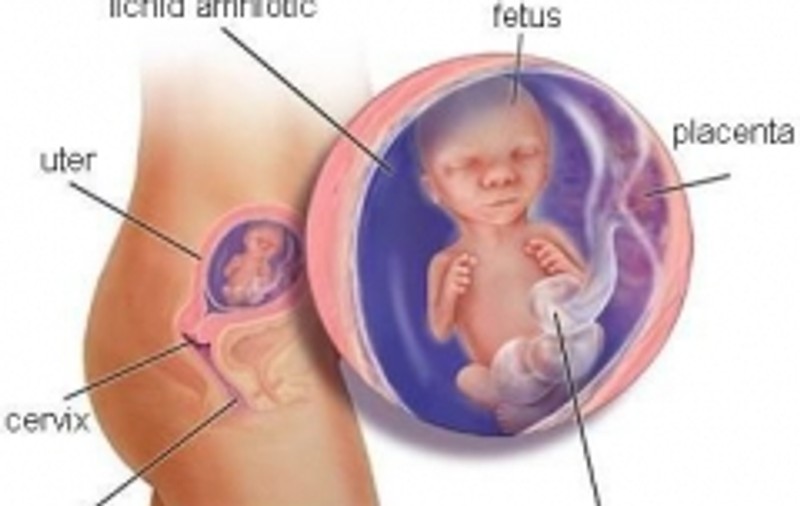 Gravida care şi-a smuls copilul din corp ar putea fi pusă să plătească spitalizarea