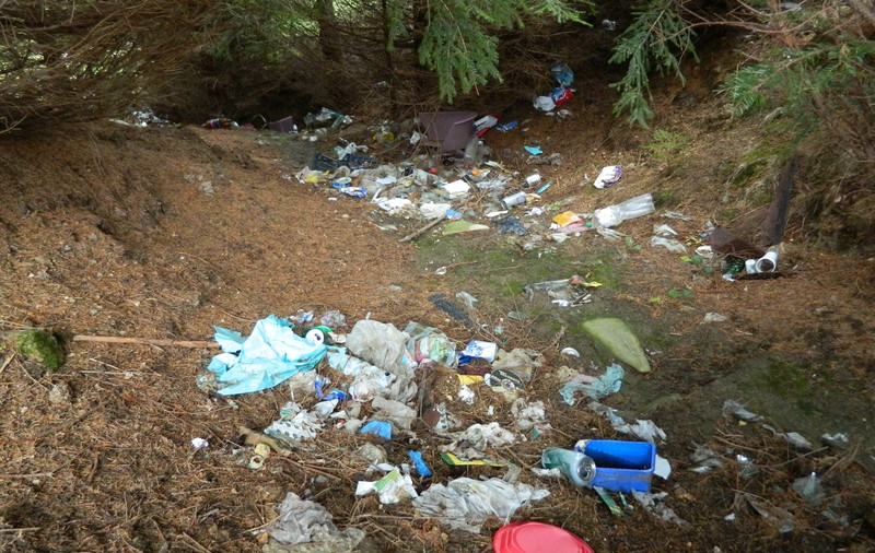 Turismul românesc, în toată sălbăticia sa: voluntarii au strâns munţi de gunoaie de pe Munţii Carpaţi