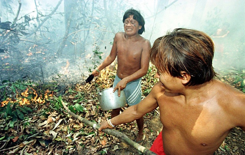Furie în creștere împotriva guvernului Braziliei din cauza incendiilor din Amazonia