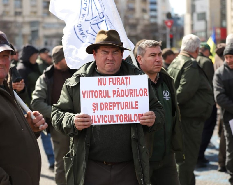 Silvicultorii protestează la București față de tăierea salariilor și amenință cu greva generală