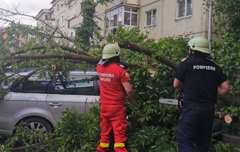 Macara doborâtă de vânt în Mamaia. În țară, copacii puși la pământ de furtună au avariat mai multe mașini