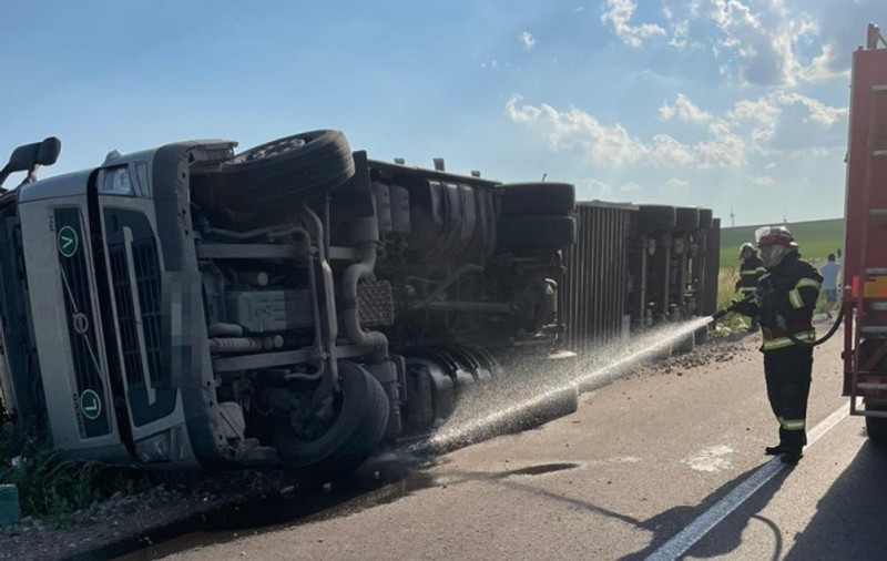Aproape 100 de oi au murit, după ce TIR-ul care le transporta s-a răsturnat în Tulcea