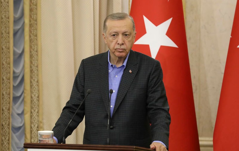 Erdogan a fost comparat de vicepreședintele Parlamentului german cu „un șobolan de canalizare”. Reacția Turciei