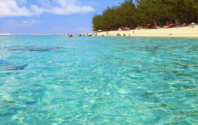 Insula paradisiacă unde au avut atât de multe atacuri ale rechinilor încât înotul este interzis