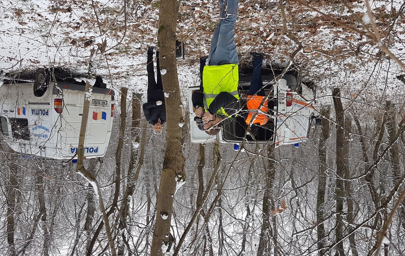 Focuri de armă în Vrancea, după ce poliţiştii au prins hoţi de lemne cu căruţe pline cu arbori