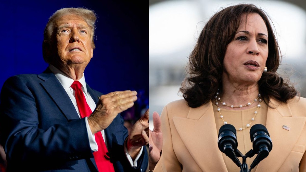 Colaj cu Donald Trump și Kamala Harris Foto: Profimedia