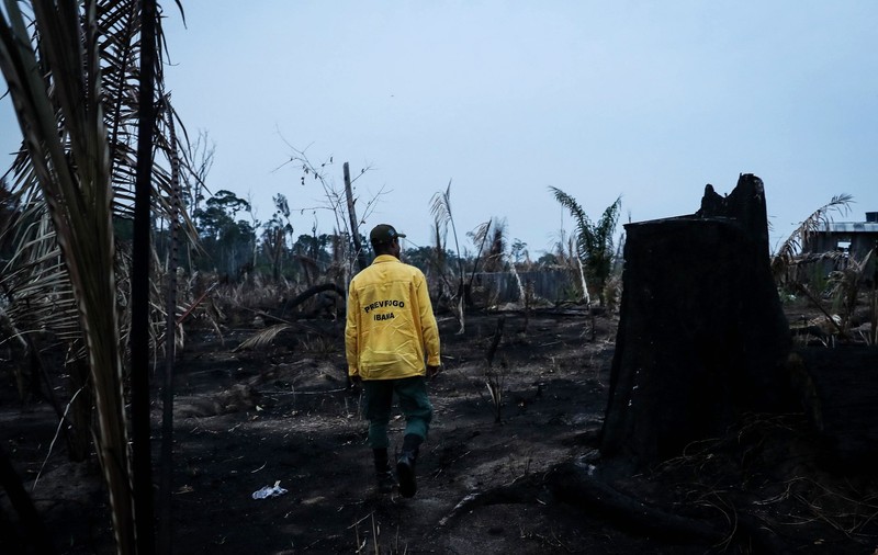 Cum ne afectează tăierile ilegale și schimbările climatice din Brazilia? „Depindem la nivel global de pădurile tropicale”