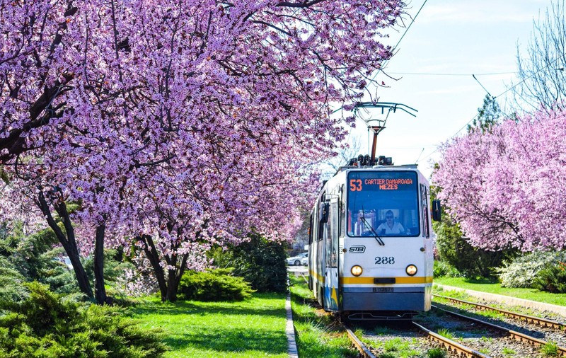 Program STB de Paște: Tramvaiul 41 și liniile de noapte din București, active până la ora 3 dimineața în noaptea de sâmbătă spre duminică
