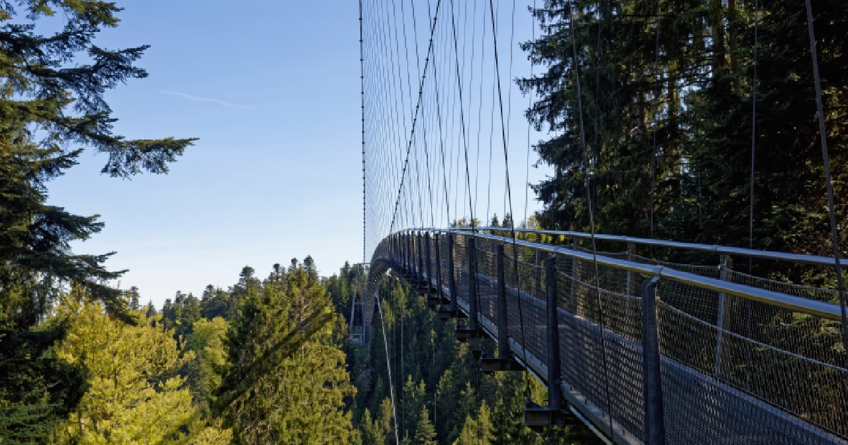 Podul suspendat Wildline peste Valea Pădurii Negre din Bad Wildbad, Germania