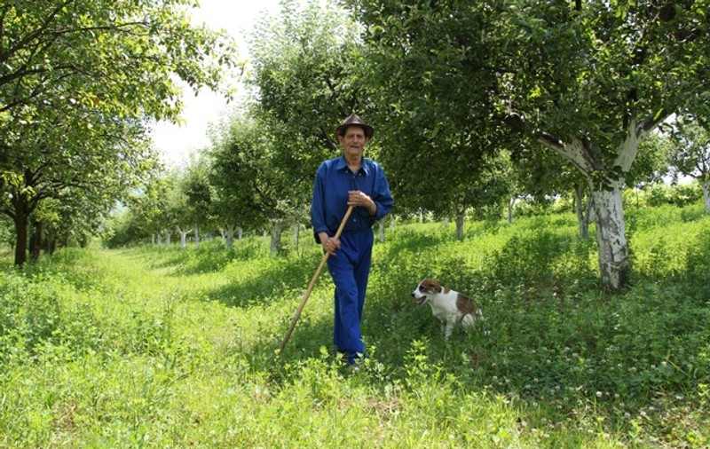”Dințarul” din Viișoara se mândrește la 95 de ani cu 38 de nepoți, 18 strănepoți și 3 stră-strănepoți